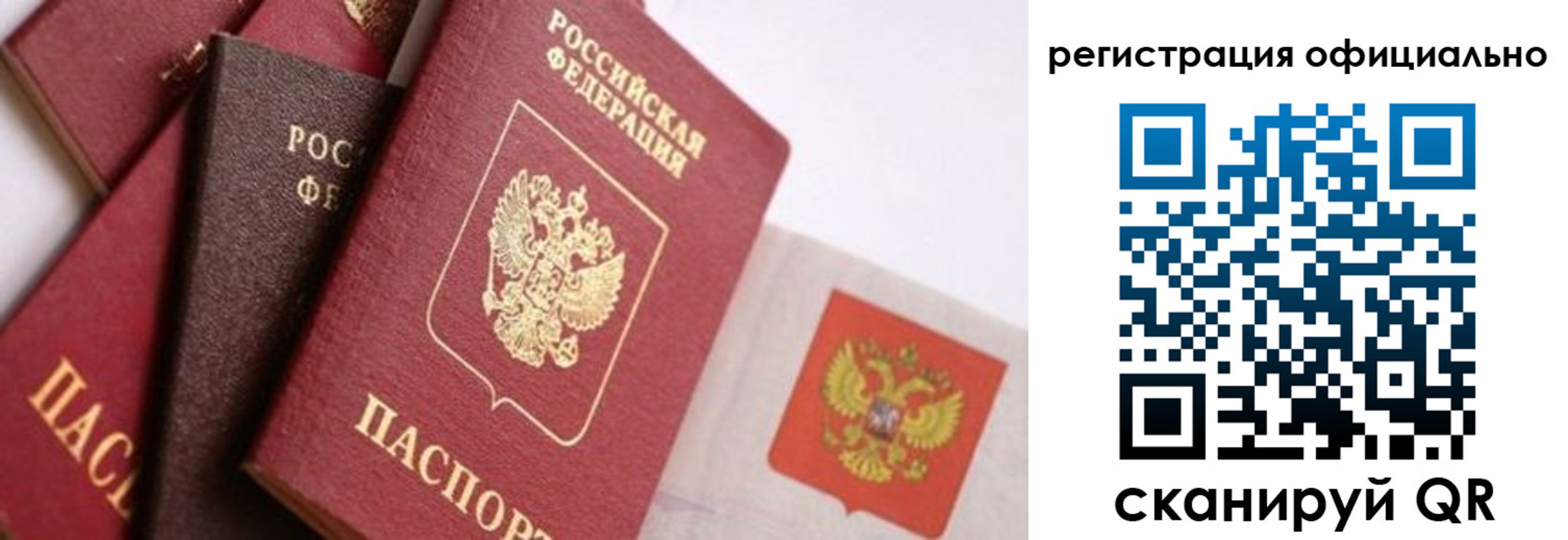 прописка гарантия в Дорогобуже